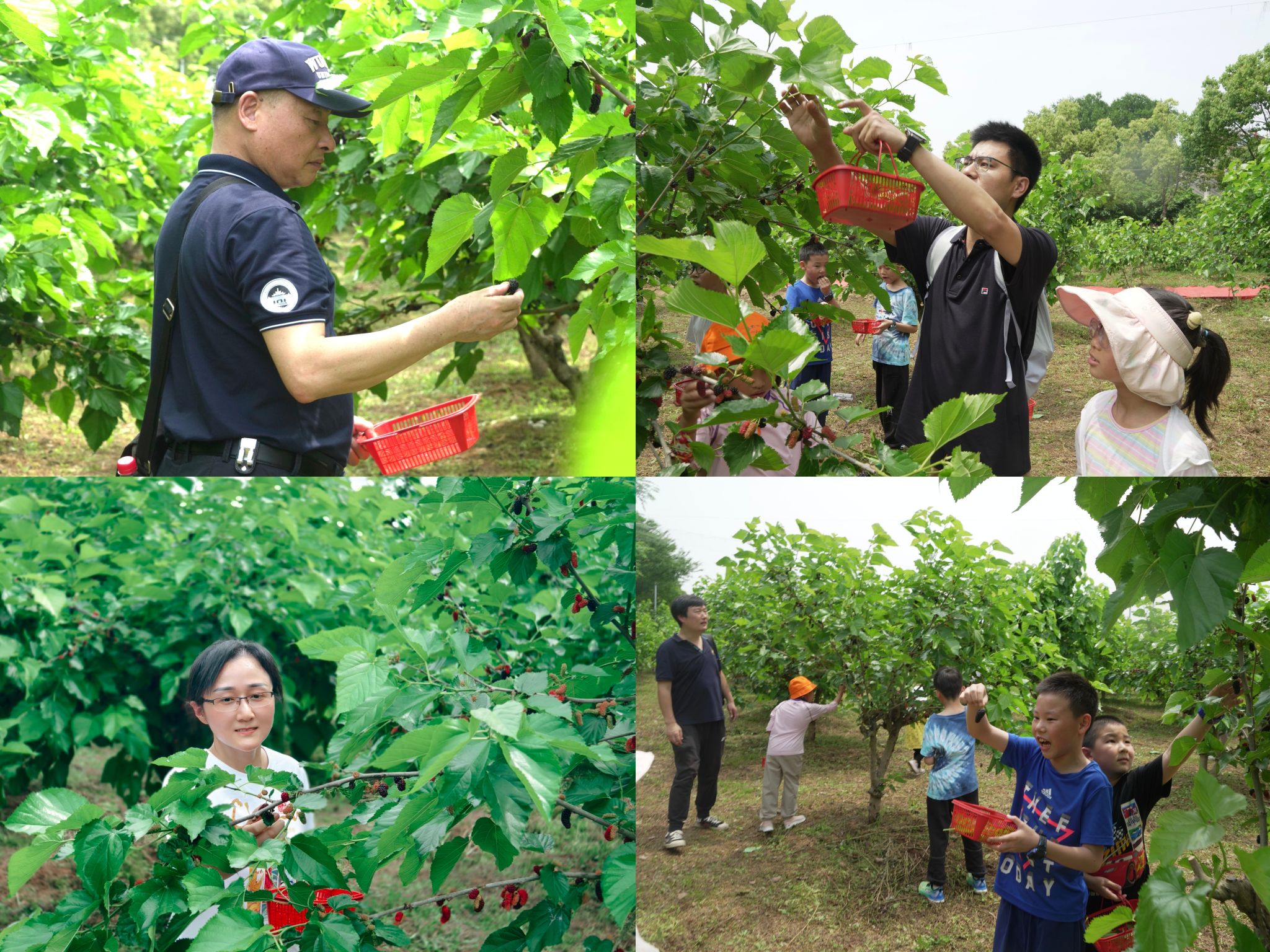 春日踏青 欢乐悠游